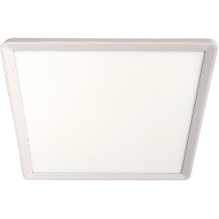 LED stropna svjetiljka LED/24W/230V 3000/4000/6500K 30x30 cm bijela