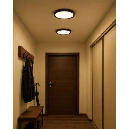 LED stropna svjetiljka LED/24W/230V 3000/4000/6500K, promjer 30 cm, smeđa