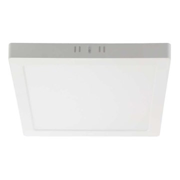 LED Stropna svjetiljka LED/24W/230V 3000K 28,7x28,7 cm bijela