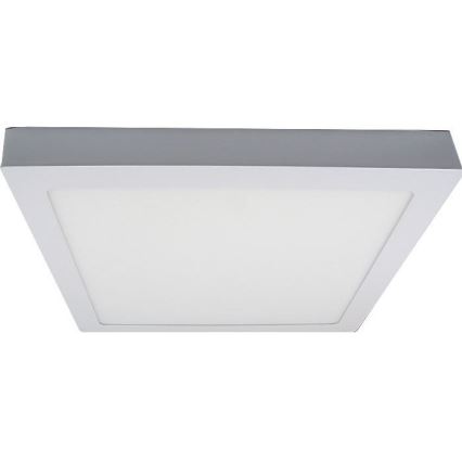 LED Stropna svjetiljka LED/24W/230V 3000K