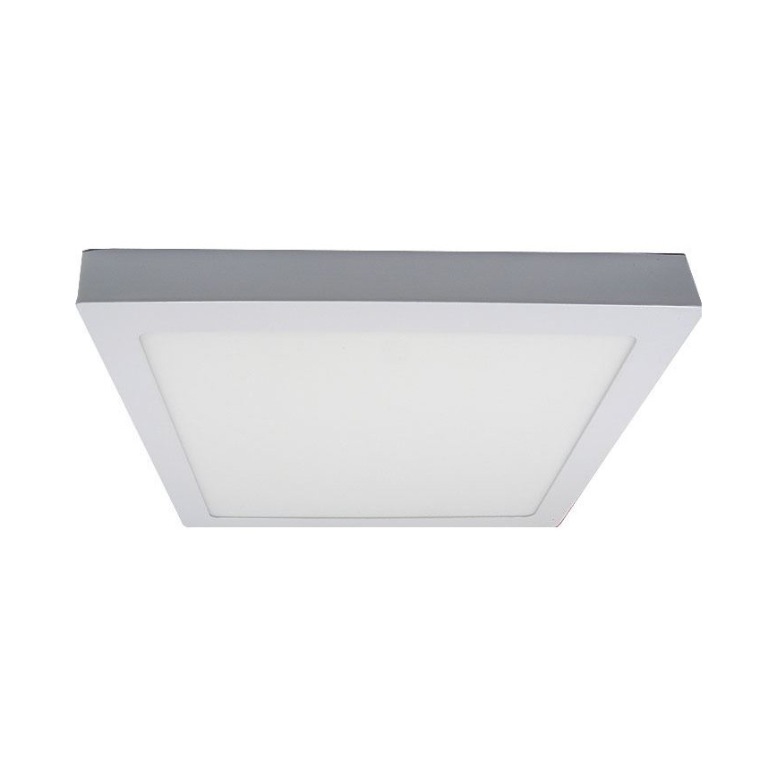 LED Stropna svjetiljka LED/24W/230V 3000K