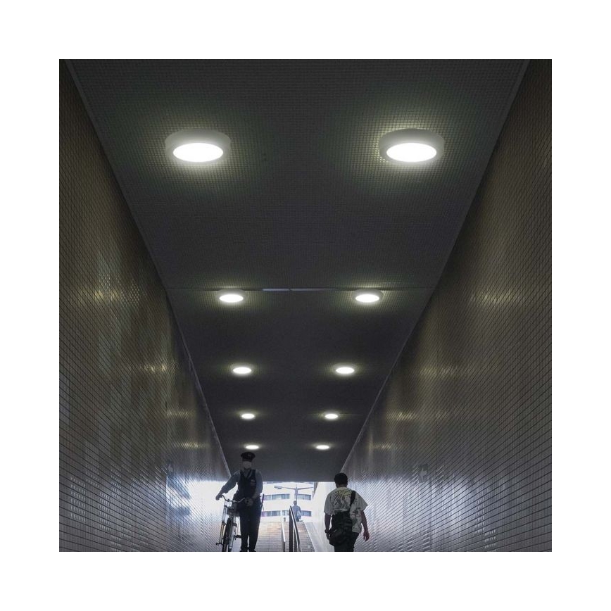 LED Stropna svjetiljka LED/24W/230V 3000K