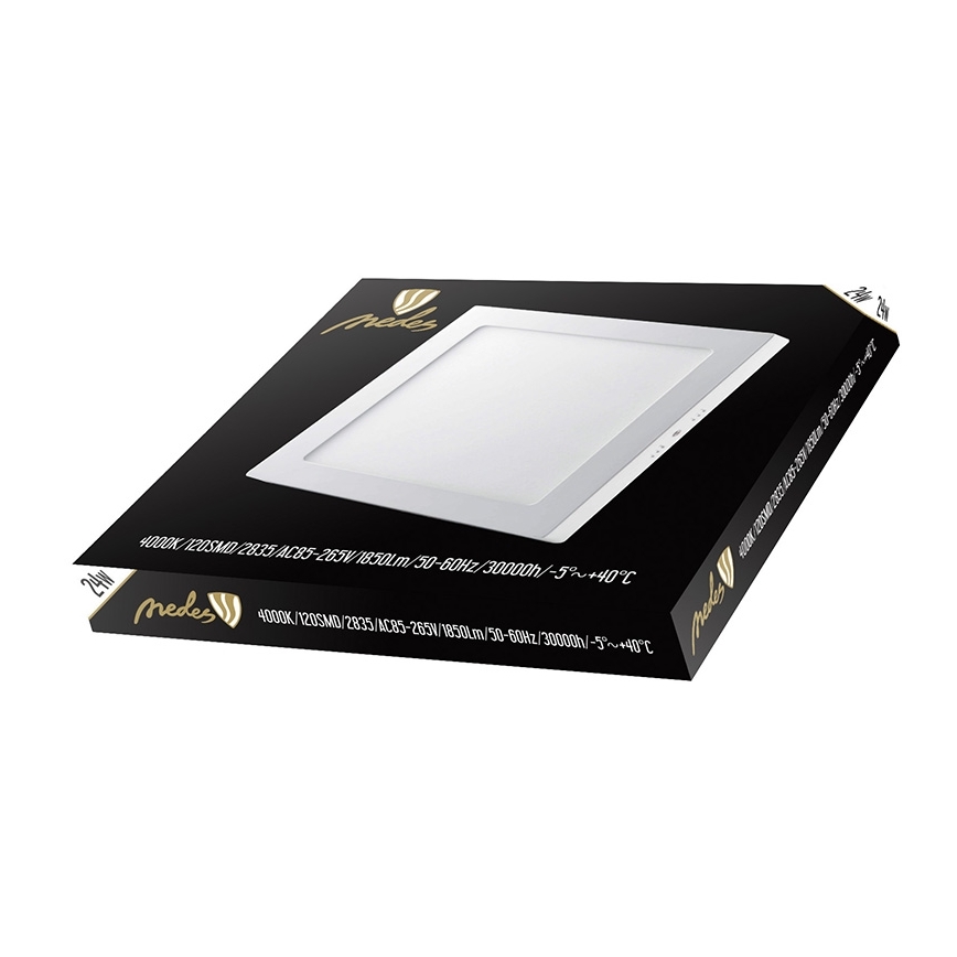 LED Stropna svjetiljka LED/24W/230V 4000K