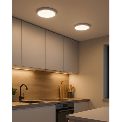 LED Stropna svjetiljka LED/24W/230V 4200K pr. 28,5 cm bijela