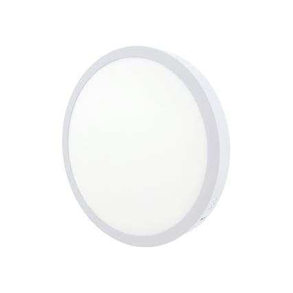 LED Stropna svjetiljka LED/24W/230V 4200K pr. 28,5 cm bijela