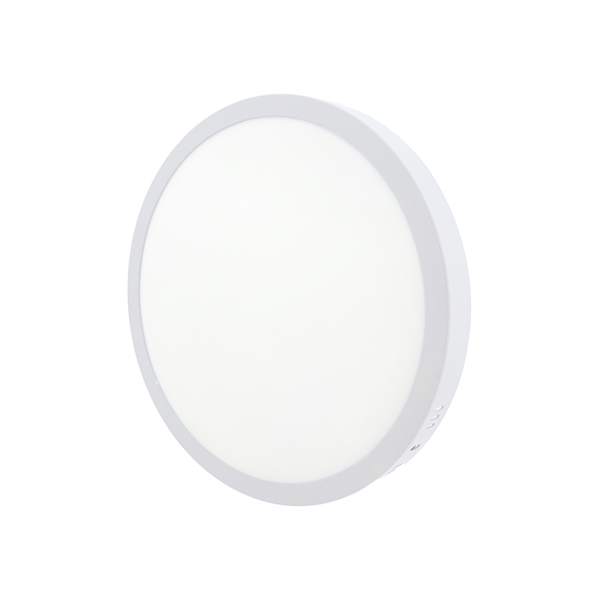 LED Stropna svjetiljka LED/24W/230V 4200K pr. 28,5 cm bijela
