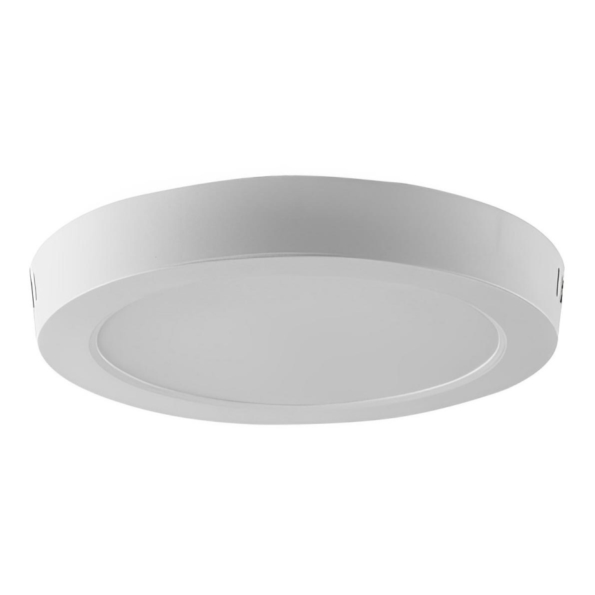 LED Stropna svjetiljka LED/24W/230V 6500K pr. 28,8 cm