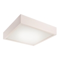 LED stropna svjetiljka LED/24W/230V
