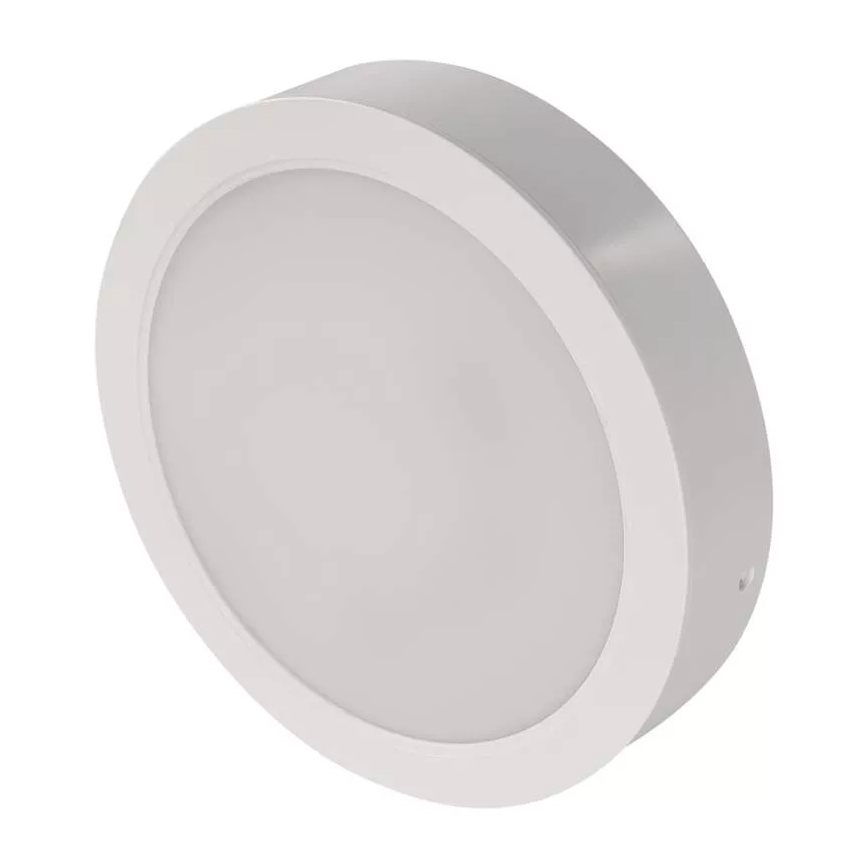 LED Stropna svjetiljka LED/24W/230V pr. 22 cm bijela