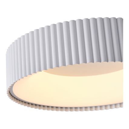 LED Stropna svjetiljka LED/30W/230V 3000K bijela