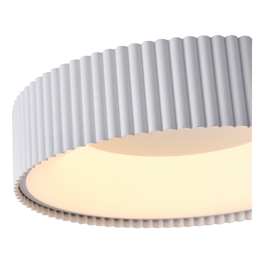 LED Stropna svjetiljka LED/30W/230V 3000K bijela