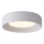 LED Stropna svjetiljka LED/30W/230V 3000K bijela