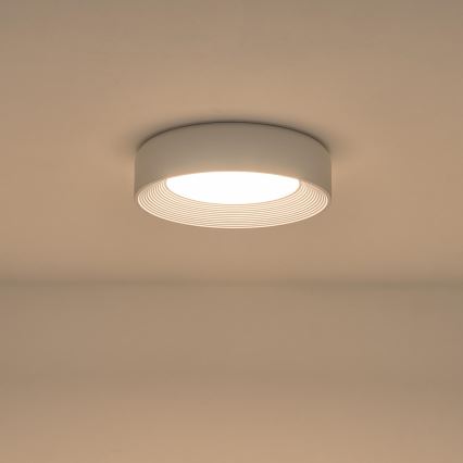 LED Stropna svjetiljka LED/30W/230V 3000K bijela