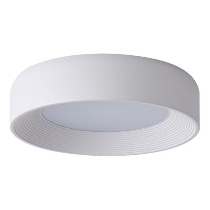 LED Stropna svjetiljka LED/30W/230V 3000K bijela