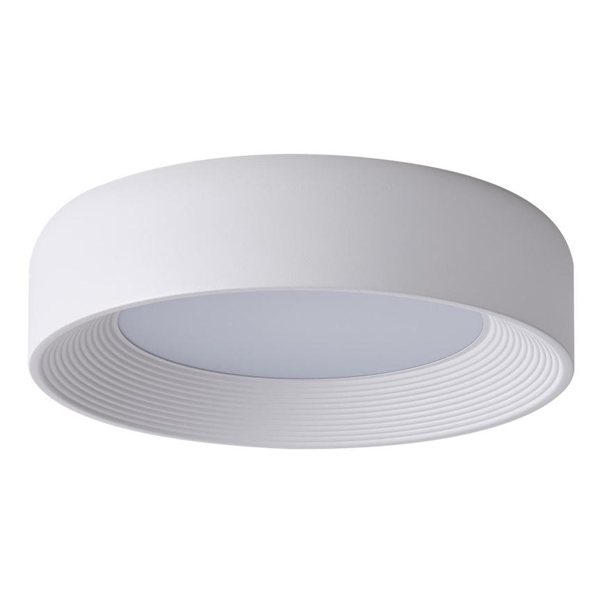 LED Stropna svjetiljka LED/30W/230V 3000K bijela