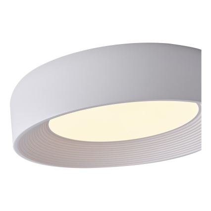LED Stropna svjetiljka LED/30W/230V 3000K bijela