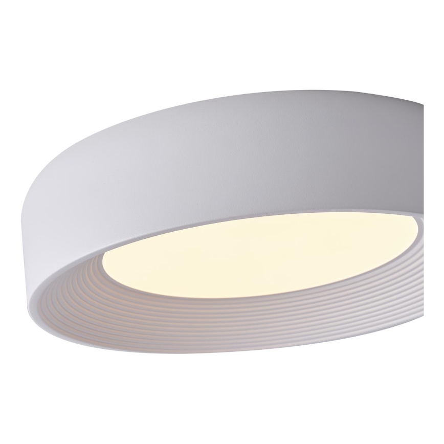 LED Stropna svjetiljka LED/30W/230V 3000K bijela