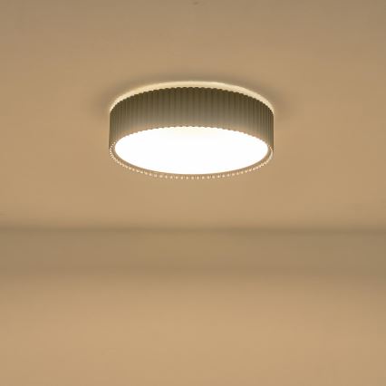 LED Stropna svjetiljka LED/30W/230V 3000K crna
