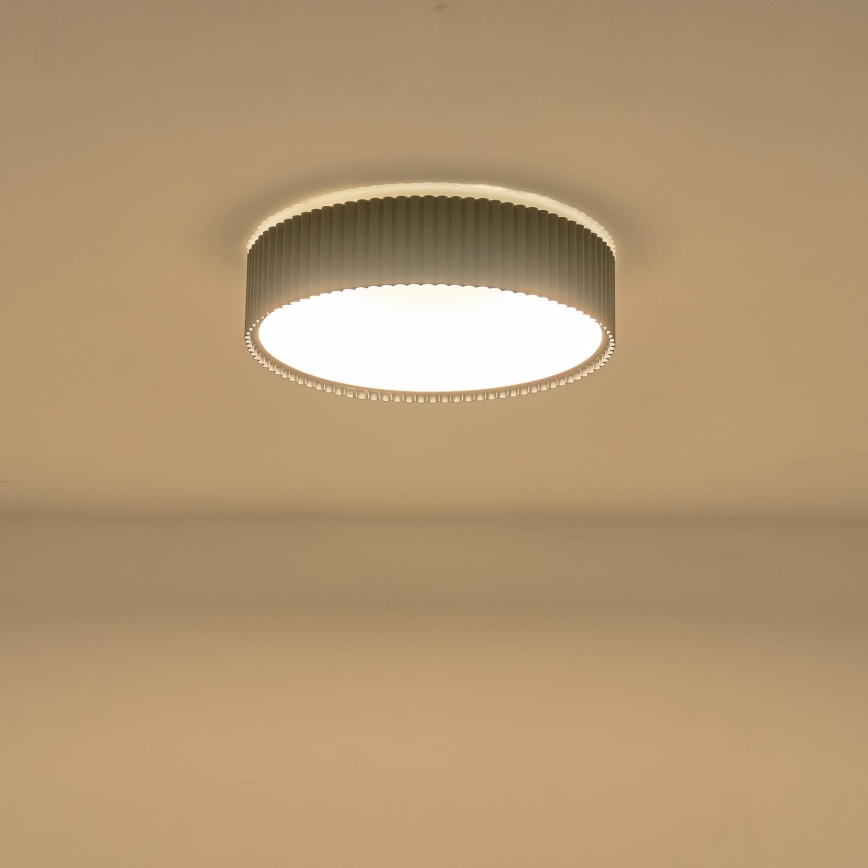 LED Stropna svjetiljka LED/30W/230V 3000K crna