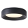 LED Stropna svjetiljka LED/30W/230V 3000K crna