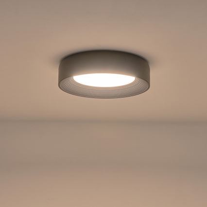 LED Stropna svjetiljka LED/30W/230V 3000K crna
