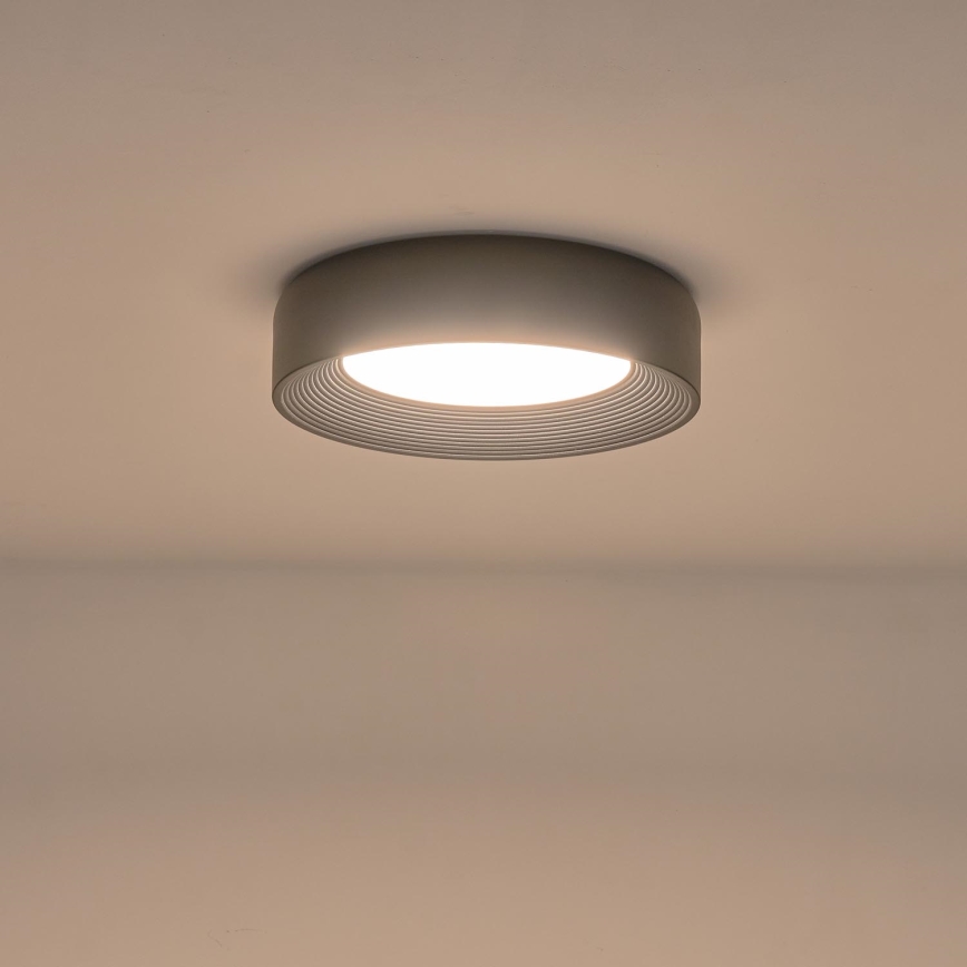LED Stropna svjetiljka LED/30W/230V 3000K crna