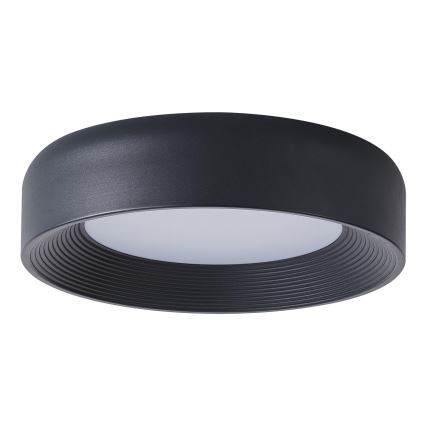 LED Stropna svjetiljka LED/30W/230V 3000K crna
