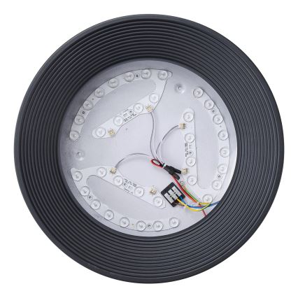 LED Stropna svjetiljka LED/30W/230V 3000K crna