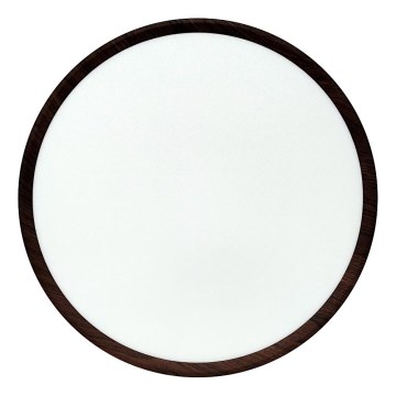 LED stropna svjetiljka LED/32W/230V 3000/4000/6500K, promjer 40 cm, smeđa