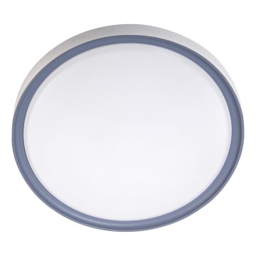 LED Stropna svjetiljka LED/36W/230V pr. 40 cm bijela/siva
