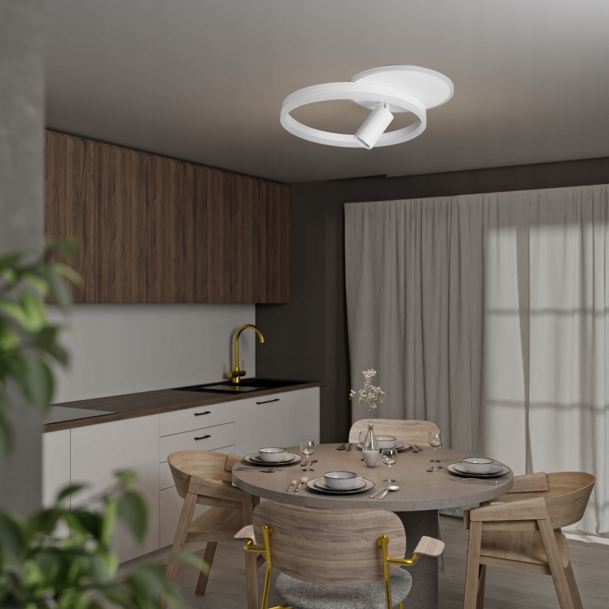 LED stropna svjetiljka LED/38W/230V + 1xGU10/30W bijela