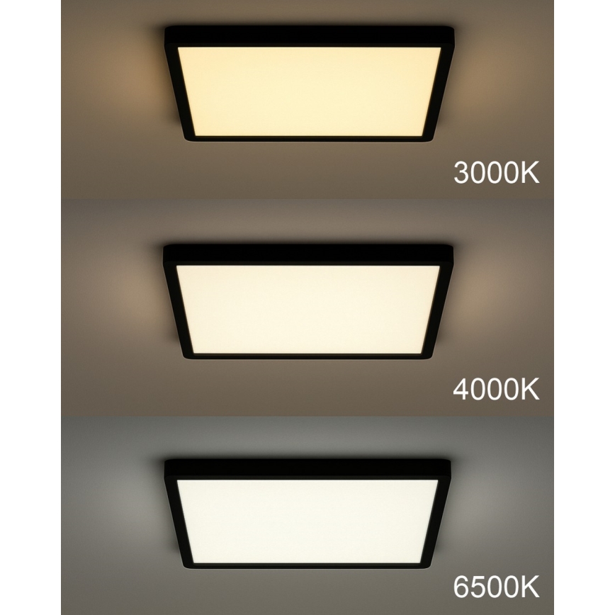 LED stropna svjetiljka LED/40W/230V 3000/4000/6500K 50x50 cm crna
