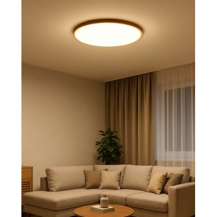 LED stropna svjetiljka LED/40W/230V 3000/4000/6500K, promjer 50 cm, bež