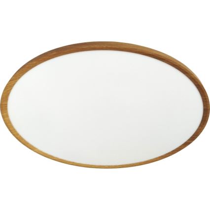 LED stropna svjetiljka LED/40W/230V 3000/4000/6500K, promjer 50 cm, bež