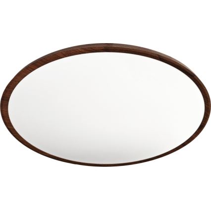LED stropna svjetiljka LED/40W/230V 3000/4000/6500K Ø 50 cm smeđa