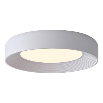 LED Stropna svjetiljka LED/40W/230V 3000K bijela