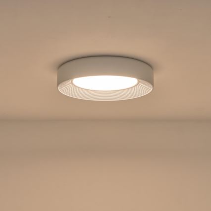 LED Stropna svjetiljka LED/40W/230V 3000K bijela