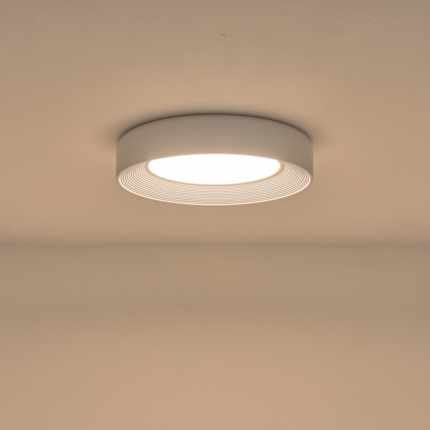 LED Stropna svjetiljka LED/40W/230V 3000K bijela