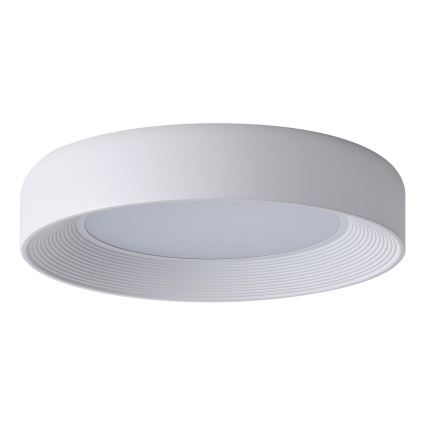 LED Stropna svjetiljka LED/40W/230V 3000K bijela