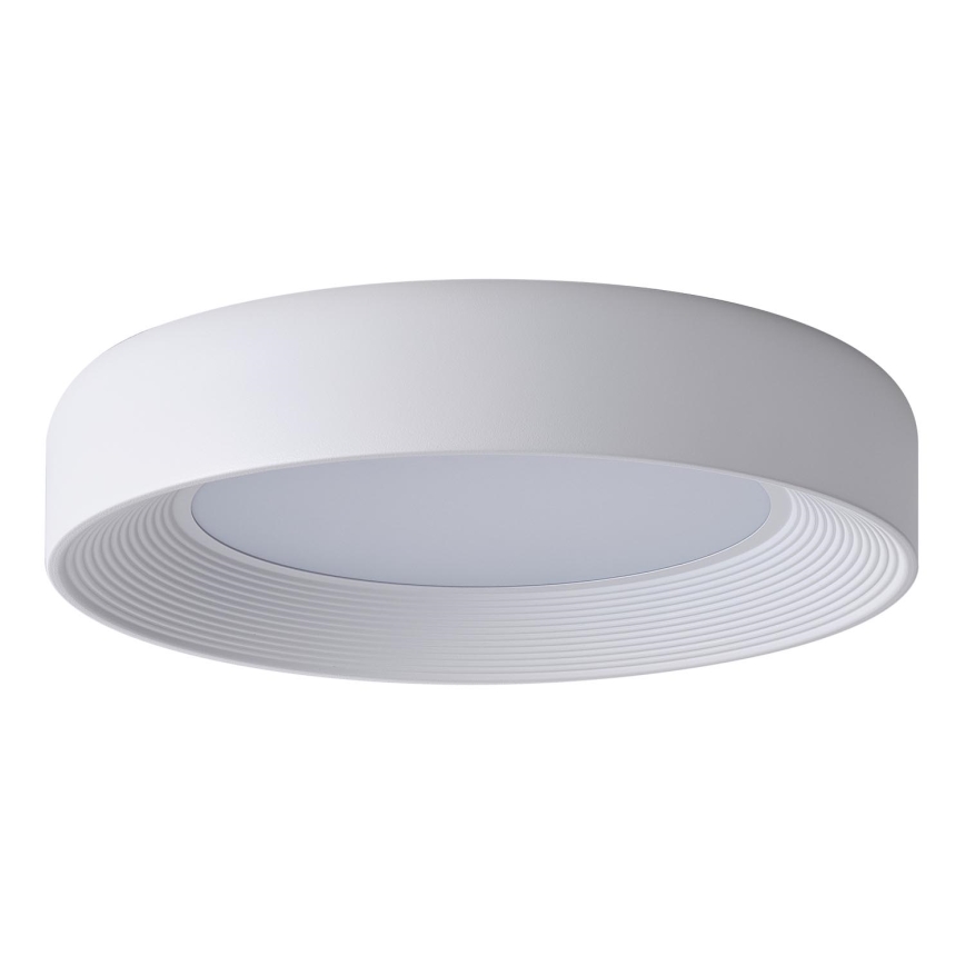 LED Stropna svjetiljka LED/40W/230V 3000K bijela
