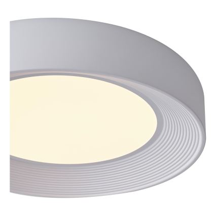 LED Stropna svjetiljka LED/40W/230V 3000K bijela
