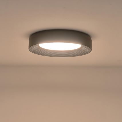LED Stropna svjetiljka LED/40W/230V 3000K crna