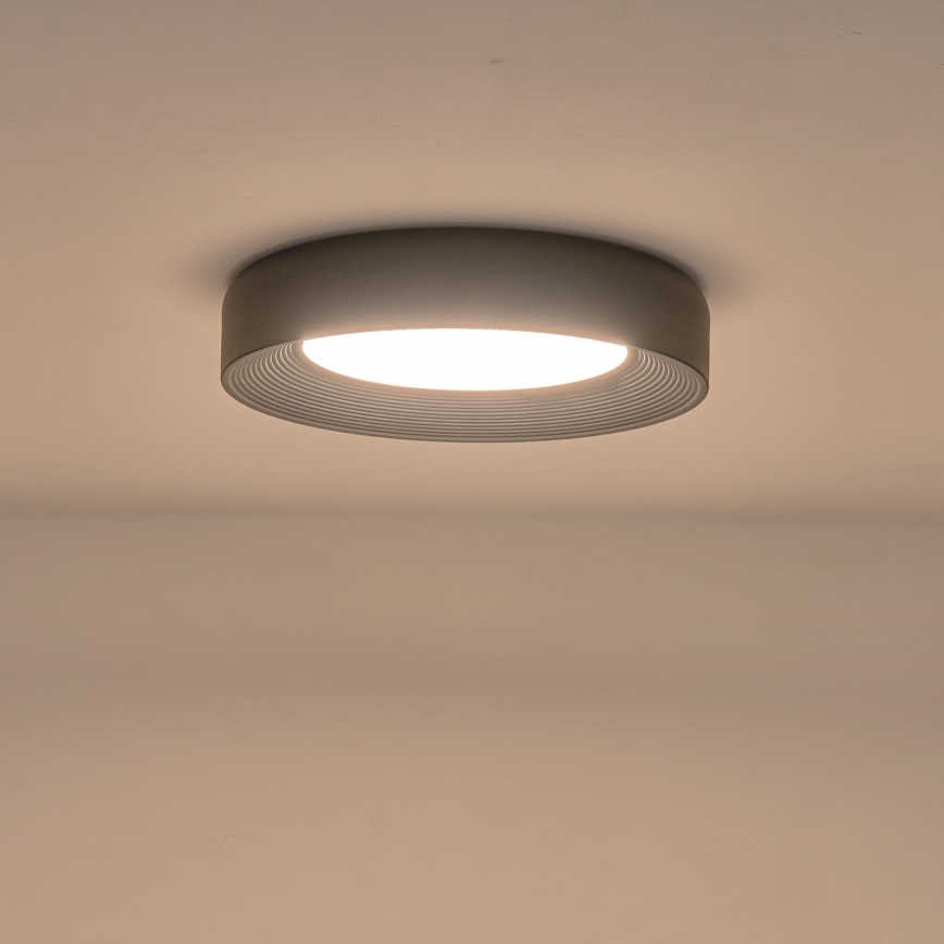 LED Stropna svjetiljka LED/40W/230V 3000K crna