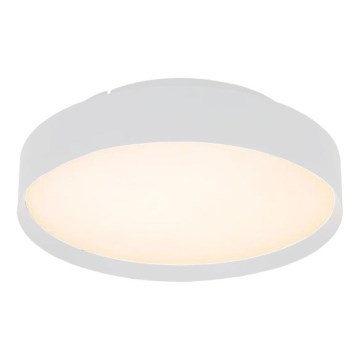 LED Stropna svjetiljka LED/40W/230V 3000K pr. 45 cm bijela