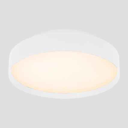 LED Stropna svjetiljka LED/40W/230V 3000K pr. 45 cm bijela