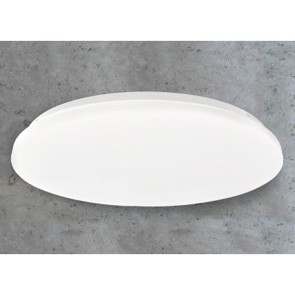 LED Stropna svjetiljka LED/45W/230V 3000K/4000K/6400K pr. 48 cm bijela