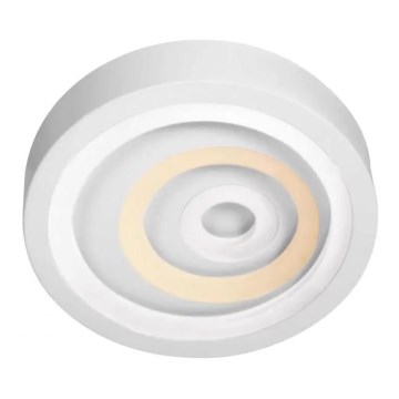 LED Stropna svjetiljka LED/52W/230V 3000/4000/6000K