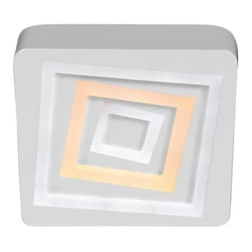 LED Stropna svjetiljka LED/58W/230V 3000/4000/6000K