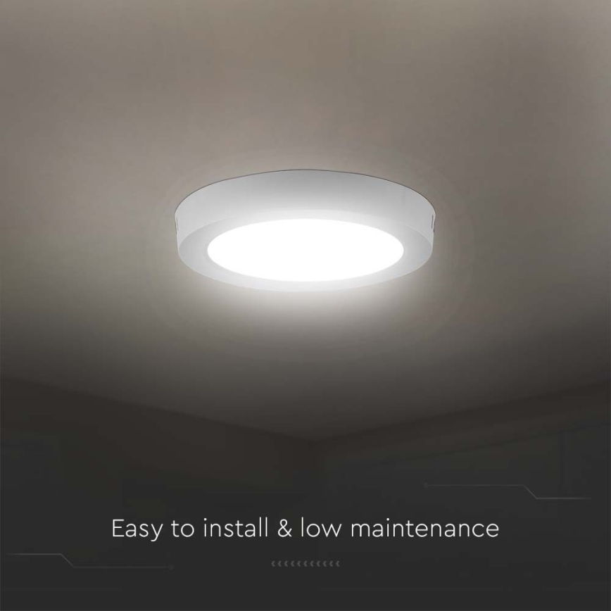 LED Stropna svjetiljka LED/6W/230V 3000K bijela