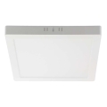 LED Stropna svjetiljka LED/6W/230V 4000K 12x12 cm bijela